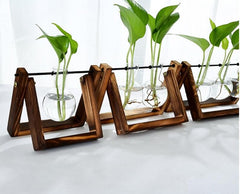 Wooden Plant Stand with Hydroponic Vase, Glass Vase, Glass Planter, Water Plant