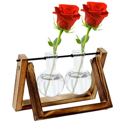 Wooden Plant Stand with Hydroponic Vase, Glass Vase, Glass Planter, Water Plant